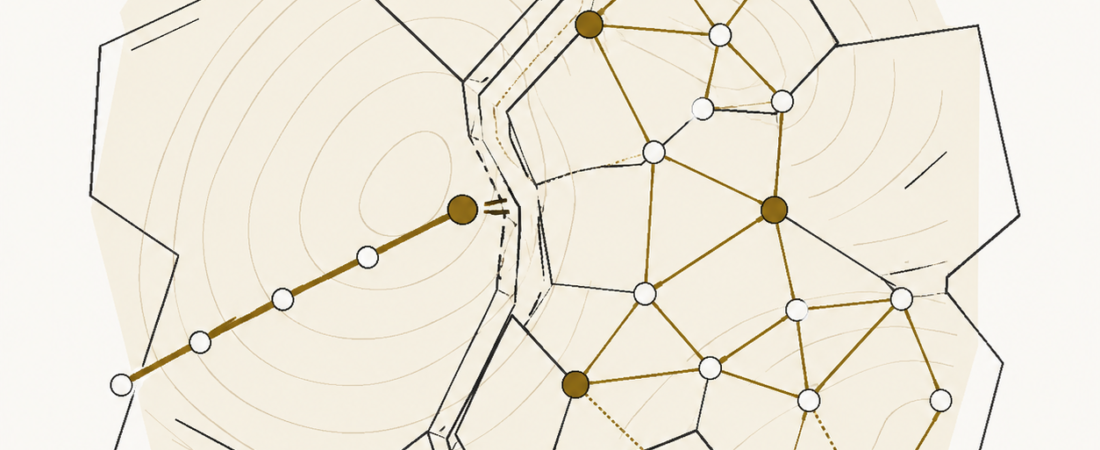 Expertise vs Network: When Being Right Isn’t Enough